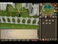 the start of darkrunemc show