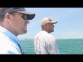 Hungry Critters Monster Sharks Giant Goliaths fish show.