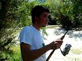 siluro bocal club de pesca glanis tarazona siluro bocal club de pesca glanis tarazona