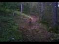Freeride à Crozet - Lélex (01)