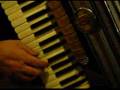 accordian-player-at-