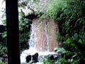 WDW's Enchanted Tiki Room Short WDW's Enchanted Tiki Room Short