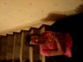 videos de soofi por la escaleraa