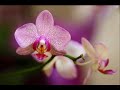 I favorited a @YouTube video http://t.co/GXaGBqUf Супер Релакс!