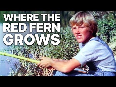 Where the Red Fern Grows | Drama | Family Movie | Full Length | English