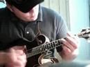 The Loyd Loar The Loyd Loar