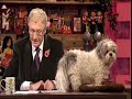 Paul O'Grady Show - Post Bag & Homeless Puppies