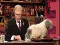 Paul O'Grady Show - Post Bag & Homeless Puppies