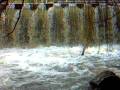 videos de rivers edge