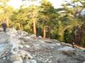Wasp attack hiking down from mule peak fire lookout