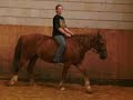 \"Mein\" Pferd: Bill Hickock