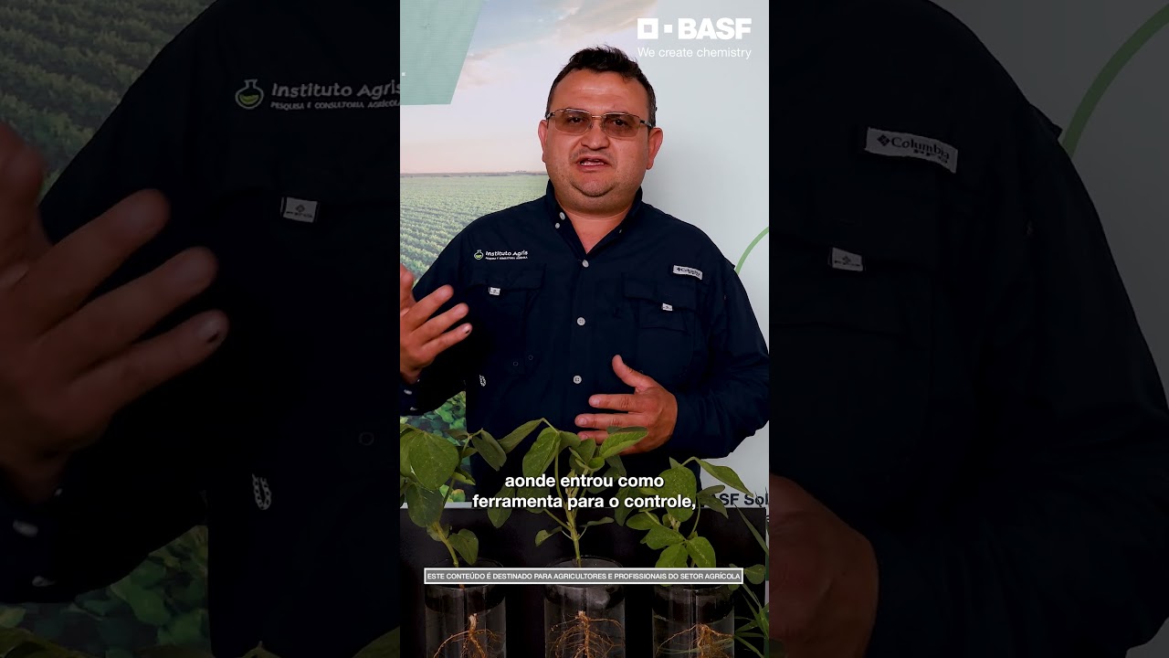 O Oídio esta roubando a sua produtividade.