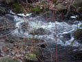 A stream A stream