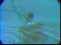 Aquacyclone aspirateur de piscine manuel à cartouche