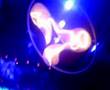 Melly - Arrival (kearney edit) live @ Amnsia