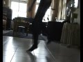 JumpChicky - Skieën