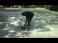 videos de malinois learn protection gripps early & a pro(strong drives)