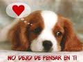 Tu amor es un sueño Tercer Cielo