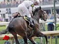 Preakness Winner