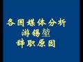 分析游锡堃