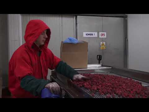 УРЕДБА ЗА ОТКУПЉИВАЧЕ МАЛИНЕ