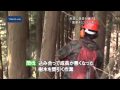 �������イ�����̂���Ƃ��듮��19
