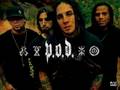p.o.d