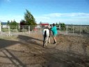 slapping right stirrup/flexing