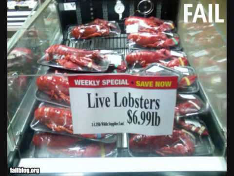 THE BEST OF FAIL BLOG #5