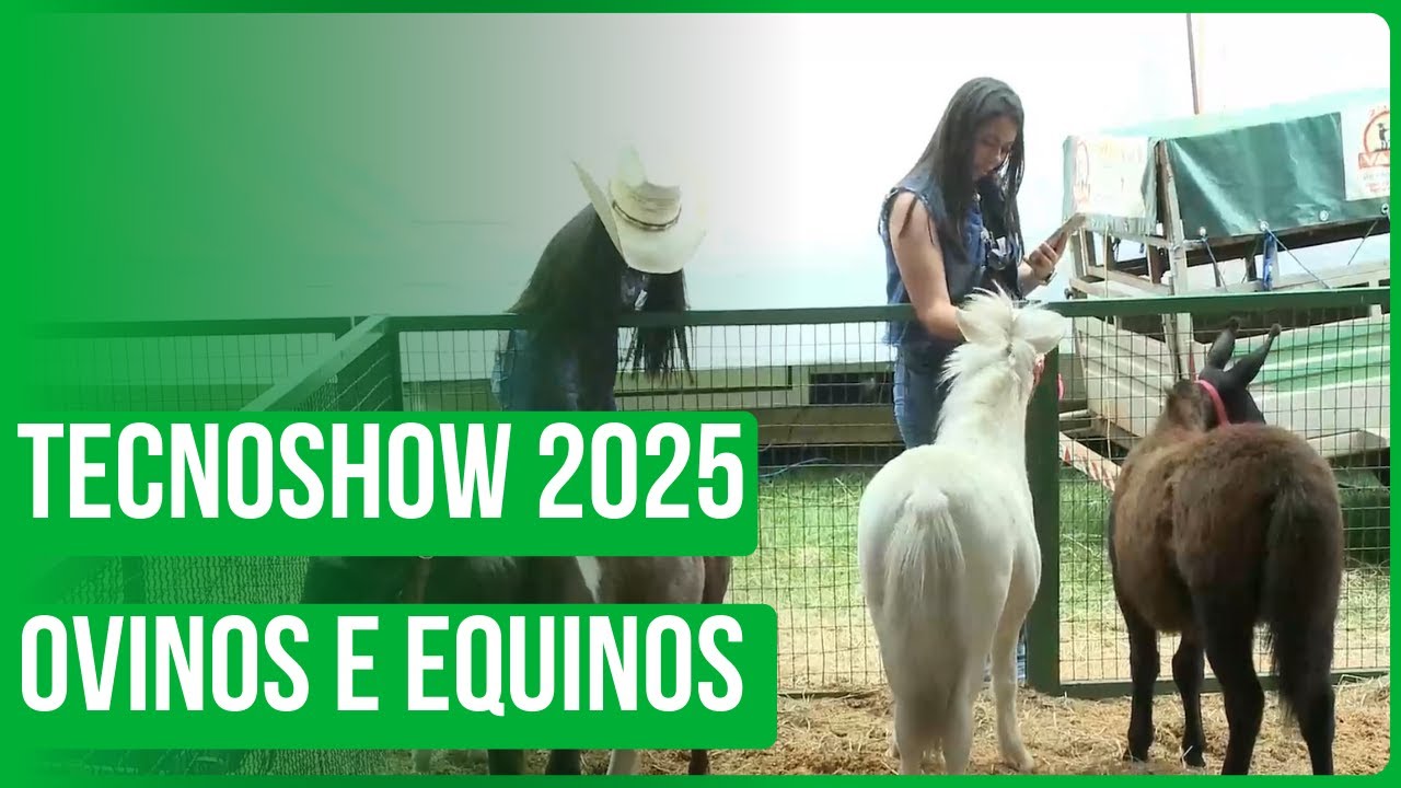 Tecnoshow 2025: Ovinos e equinos