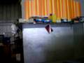 TALLER