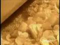 How your chips are made