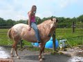 Epona Epona