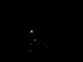 videos de 3 inch shell green peony to red.wmv