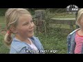 Energía eólica en Holanda