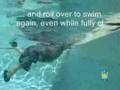 ISR baby surviving drowning