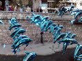 La Cañada con Delfines (2) La Cañada con Delfines (2)