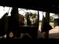 Troubled times for Kenya's tea trade - 05 Dec 08