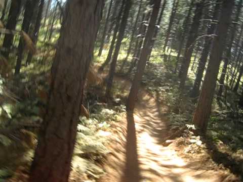 Riding Down Trail