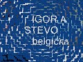 romovia igor a stevo