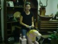 Collecting & Selling Antiques & Collectibles