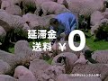 TSUTAYA DISCAS