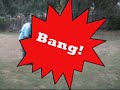 Scout Off Leash Heeling Scout Off Leash Heeling