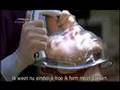  - MovieZen Video