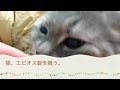 エビオス