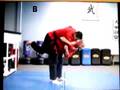 Seoi Nage - Shoulder Throw