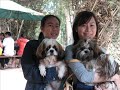 TOSHIMARU Family