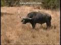 Aldam Estate - Vaal River - Africa Travel Channel