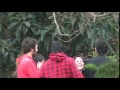 Vista previa