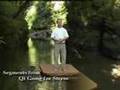 Qi Gong for Stress with Lee Holden